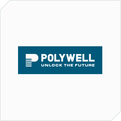 Polywell